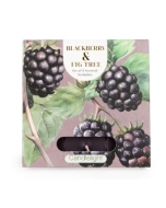 Candlelight Tealights Blackberry Fig Tree 9 Pack
