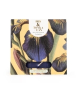 Candlelight Tealight Iris + Tonka Bean 9 Pack