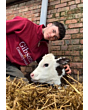 Ruby 1/4 Zip Pullover Burgundy 