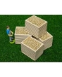 Globe Farming - Wooden Potato Box