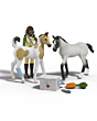 Schleich Horse Club - Sarah's First Aid Kit 42777