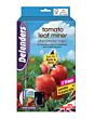 Defenders Tomato Leaf Miner Pheromone Trap - Twinpack, Refillable