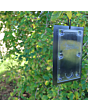 Defenders Tomato Leaf Miner Pheromone Trap - Twinpack, Refillable