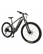 TANDEM GROUP CYCLES LTD Warth 1.0 2024 Grey