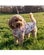 Cath Kidston Cowgirl Pet Coat With Harness