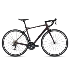 Giant Contend 1 Rosewood Large 2022