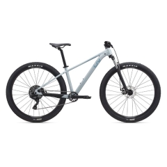 Giant Liv Tempt 4 Nordic Breeze 2025 - Medium 29"