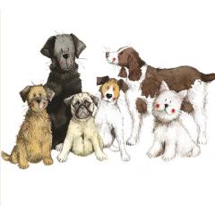 Alex Clark Coaster - Dogs Together