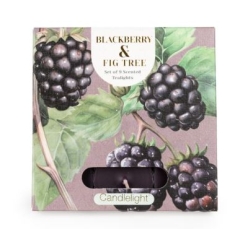 Candlelight Tealights Blackberry Fig Tree 9 Pack