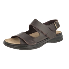 DB Shoes Alfie - Brown 