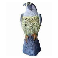 Defenders Falcon Deterrent