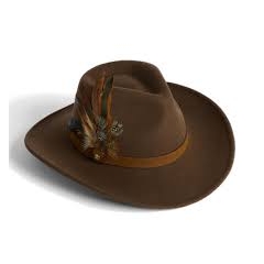 Failsworth Ladies Wool Felt Hat With Feather