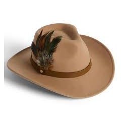 Failsworth Ladies Wool Felt Hat With Feather 