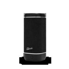 Roberts Radio REUNIONBK Speaker - Black