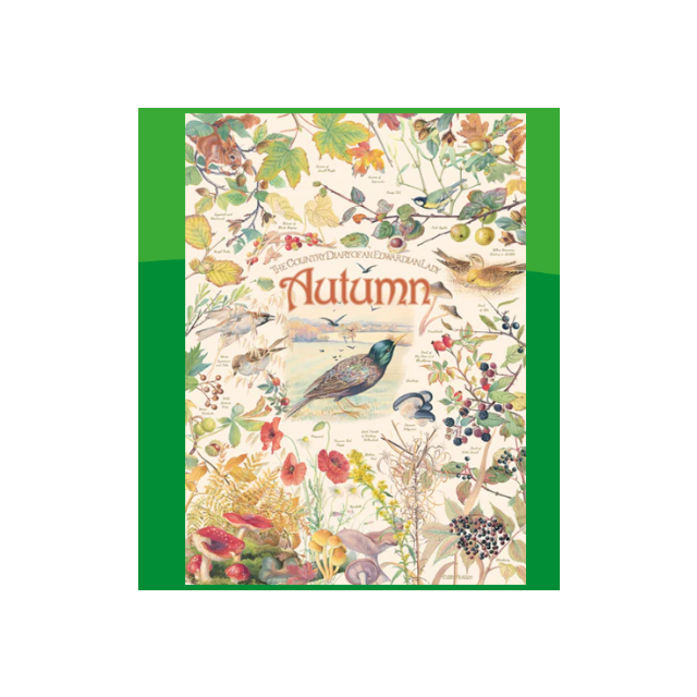 Cobble Hill Jigsaw Country Diary Autumn 1000 Piece