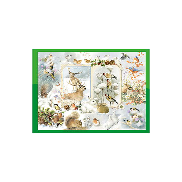 Cobble Hill Jigsaw Nature Journal Winter 1000 Piece