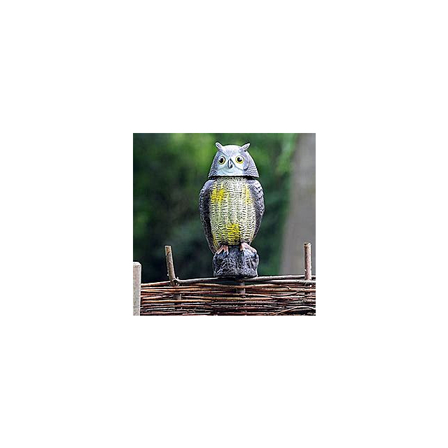 Wind Action Owl