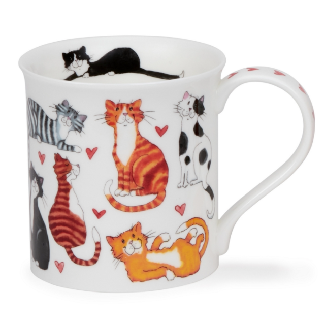 Dunoon Bute - Lovable Cats