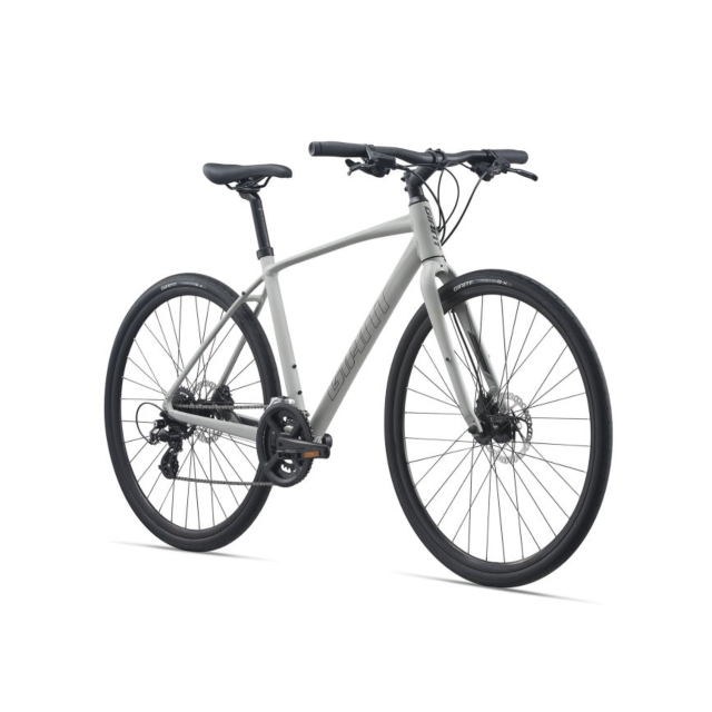 Giant Escape 2 Disc Concrete 2021- Medium