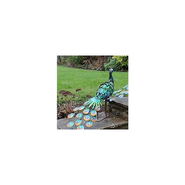 Metal Peacock