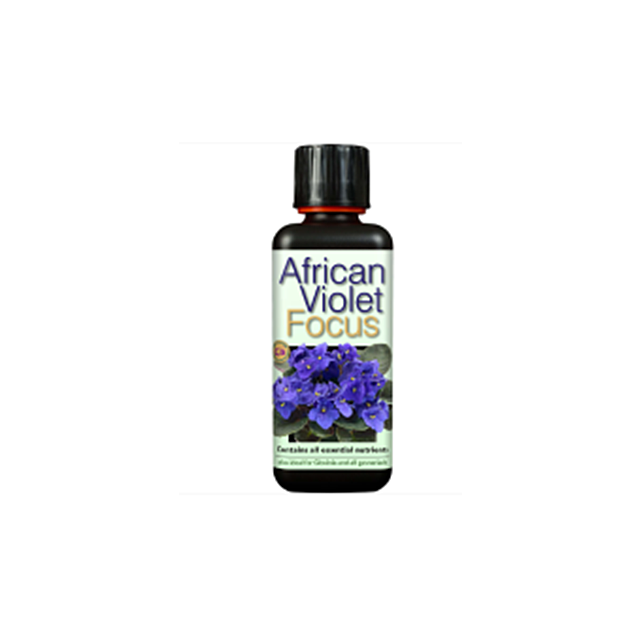Growth Technology African Violet Focus
