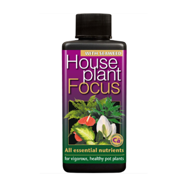 Growth Technology Houseplant Focus 300ml