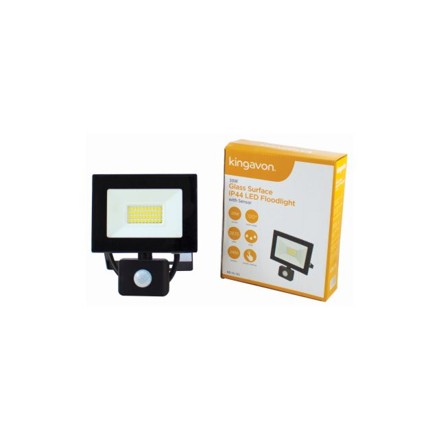 LED Floodlight