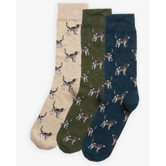 Barbour Pointer Dog Socks Gift Box - Forest Mist 