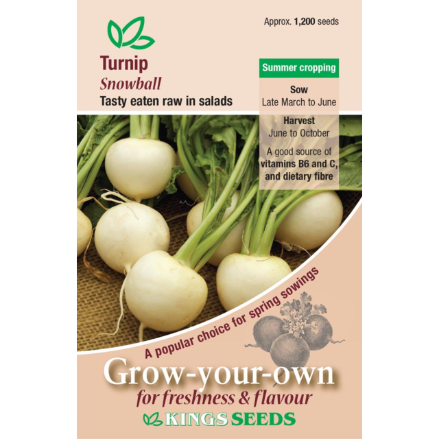 Kings Seeds- Turnip Snowball