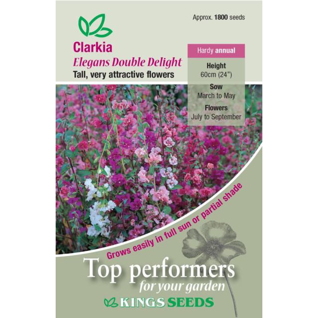 Kings Seeds - Clarkia Double Delight