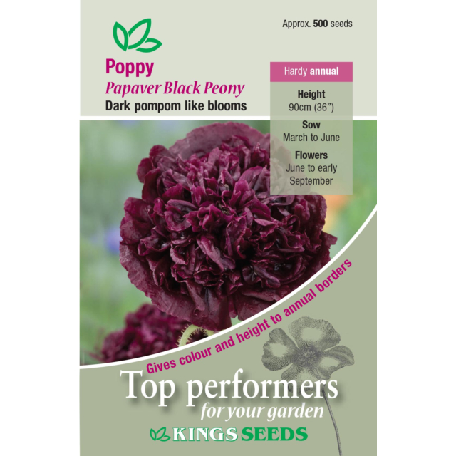 Kings Seeds- Papaver (Poppy) Paeoniflorum Black Beauty