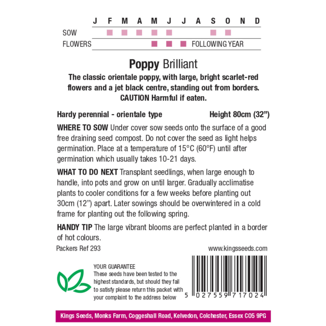 Kings Seeds- Papaver (Poppy) Brilliant Scarlet