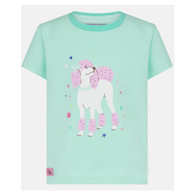 Lighthouse Causeway T-Shirt - Mint Poodle