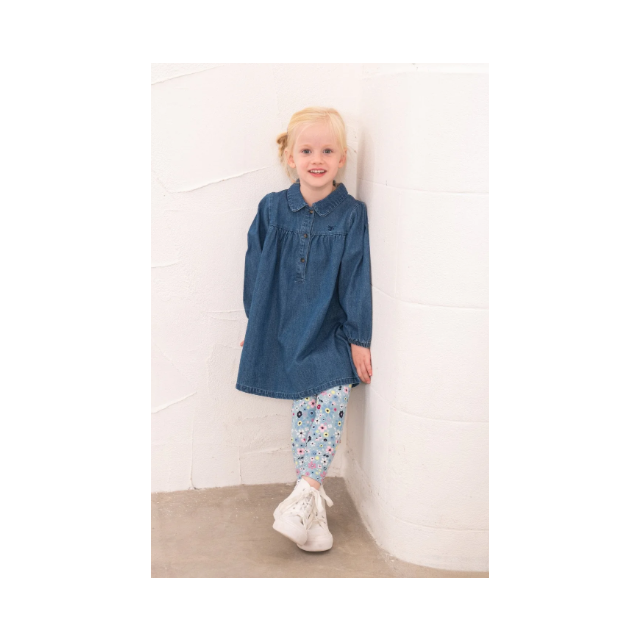 Lighthouse Erica Dress Washed Denim
