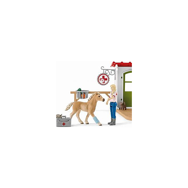 Schleich Veterinarian Practice With Pets 42502