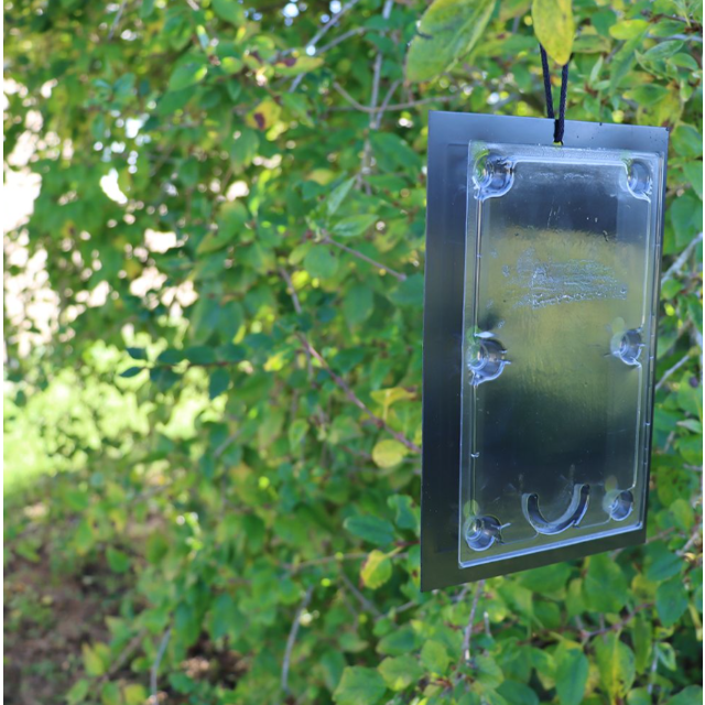 Defenders Tomato Leaf Miner Pheromone Trap - Twinpack, Refillable