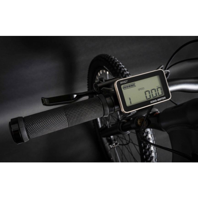 TANDEM GROUP CYCLES LTD Warth 1.0 2024 Grey