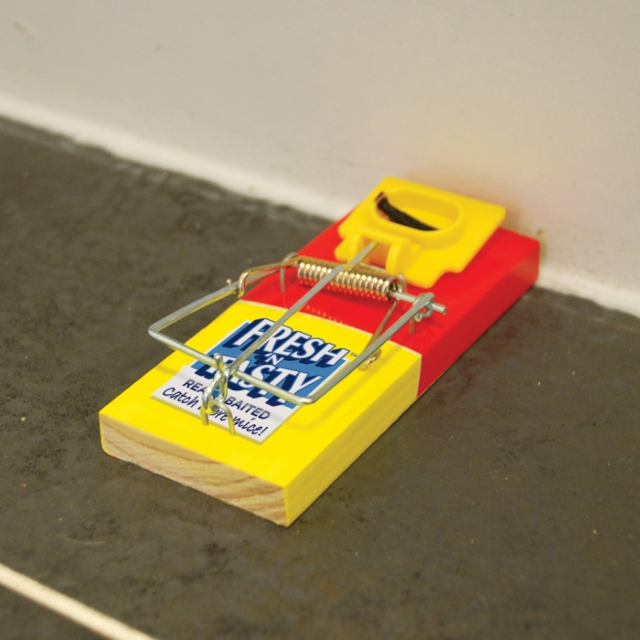 The Big Cheese Fresh Baited Mouse Trap 2 pack