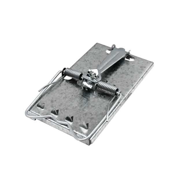 The Big Cheese Self Set Rat Trap