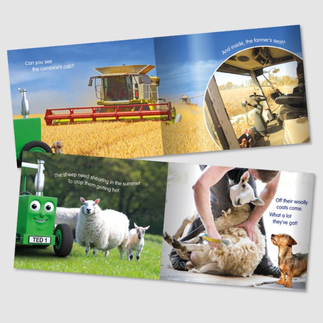 Tractor Ted A Summer's Day Book 