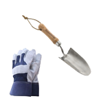 gardening tools and gloves.